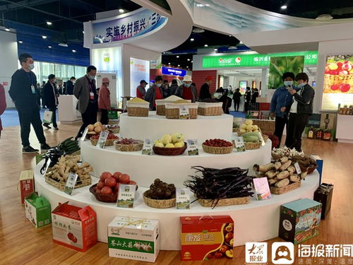 第九屆蘭陵蒼山蔬菜產(chǎn)業(yè)博覽會暨第九屆沂蒙優(yōu)質(zhì)農(nóng)產(chǎn)品交易會盛大開幕
